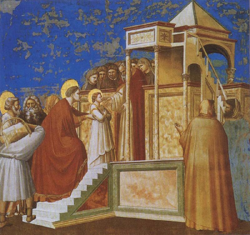 GIOTTO di Bondone Presentation of the Virgin in the Temple Germany oil painting art